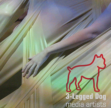 3-Legged Dog